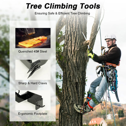 Tree Climbing Gear Set With Ascension Equipment 220lb Capacity